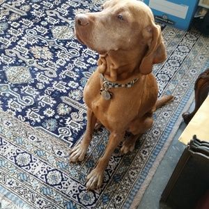 Meet your Posher, Louis l. i.